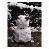 今シーズン最初の本格的な雪…