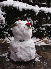 今シーズン最初の本格的な雪…