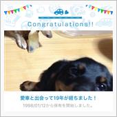 愛車と出会って19年！