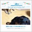 愛車と出会って19年！