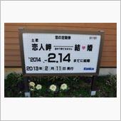 走り初めは伊豆へ　(2013 ...