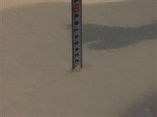 ちなみに積雪量は…