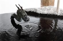 凍った滝