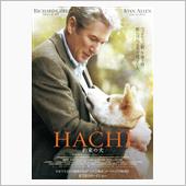 見比べてみよう。HACHI  ...