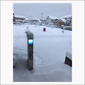 雪国かΣ＼(ﾟДﾟ;)