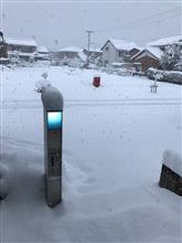 雪国かΣ＼(ﾟДﾟ;)