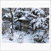 初雪そして新舞子サンデー中止