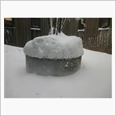 大雪です！