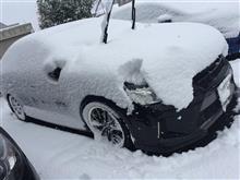 大雪じゃ！最強寒波恐るべし
