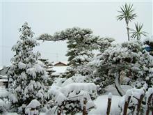 積雪10cm 積雪10cm