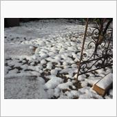 寒波襲来、雪が積もりました