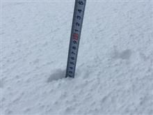今朝の積雪は