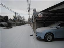 今年初の積雪 今年初の積雪