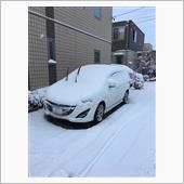 雪積もりましたね。