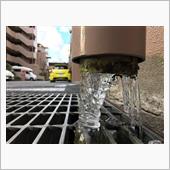 冷えてますね～