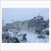 見るのは楽しい…雪景色！！！