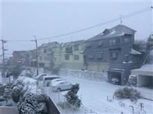 見るのは楽しい…雪景色！！！