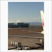 見事な富士山！