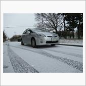 雪が積もっていました！