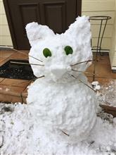タイヤがなで肩