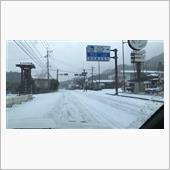 今年の初雪に