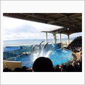 えのすい（新江ノ島水族館）に ...