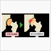 「認めたくないものだな、自分 ...