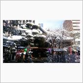 京都市内で積雪14cm、最低 ...