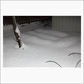 小さくても大根