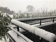 雪♪雪♪雪♪