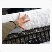 新年早々、まぁ～イロイロとw ...