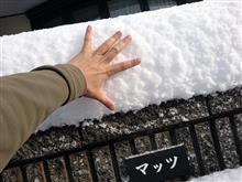 新年早々、まぁ～イロイロとwww【最近の出来事 のち 雪？;｀;･(゜ε゜ )ﾌﾞｯ!!】