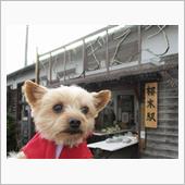 極寒の桜木駅