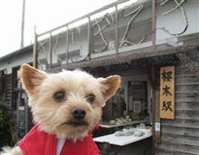 極寒の桜木駅