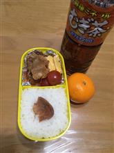 今日のお弁当