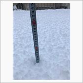 土曜日から降り続く雪(&#180;-ι ...