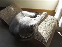 我が身恋しや ほうやれほ(^^♪