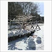 ふらりと雪道ドライブ～♪