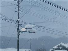 雪、降りすぎて信号、見えんな・・・。
