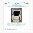 別に記念日ってほどのコトでもありませんが、