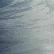 D.A.N. - SSWB 