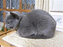 同じ場面でも取る行動は人それぞれということか・・・・(￣▽￣;)