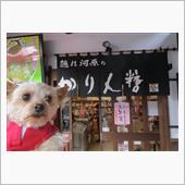 売店と屋台めぐり