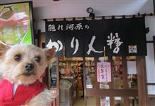 売店と屋台めぐり