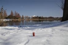 泥水