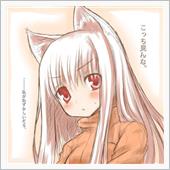 溶けた塩カルって滑りますよね ...