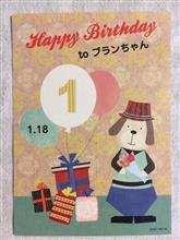 ブラン 🐩 1 才 になりました^ ^ ブラン 🐩 1 才 になりました^ ^