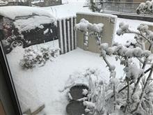 雪の週末