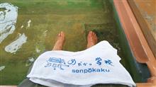 音楽【人形の夢と足湯】ローカル足湯巡り③湯👀は めだかの学校