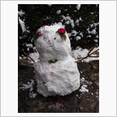 やっと雪が消えましたが，大雪 ...